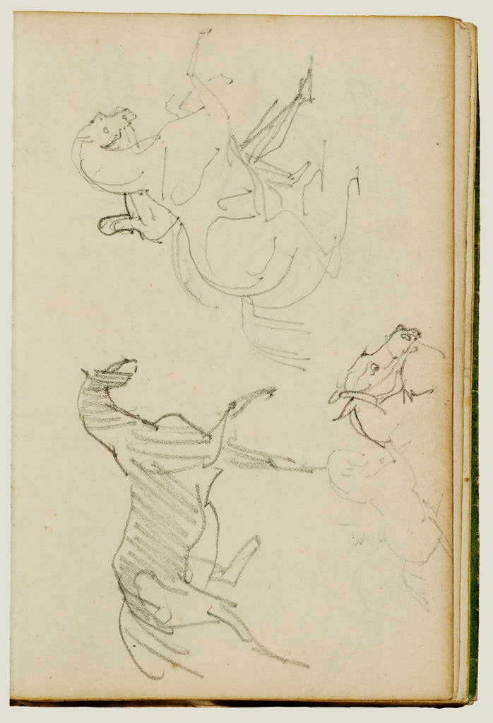 Detail of Three horse studies by Théodore Géricault