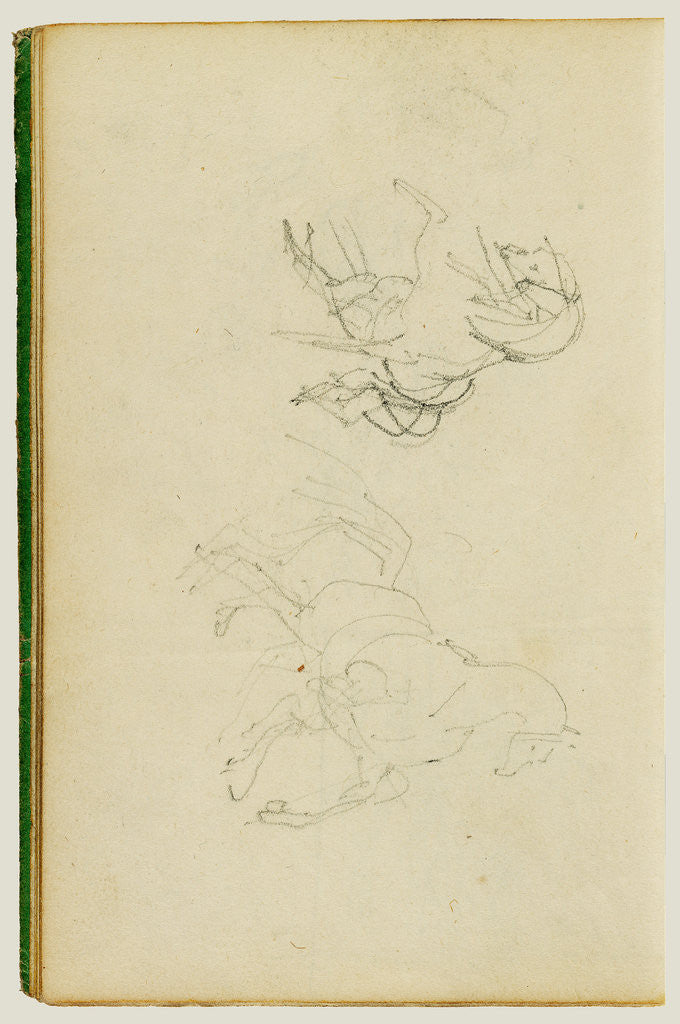 Detail of Two studies of a rearing horse by Théodore Géricault