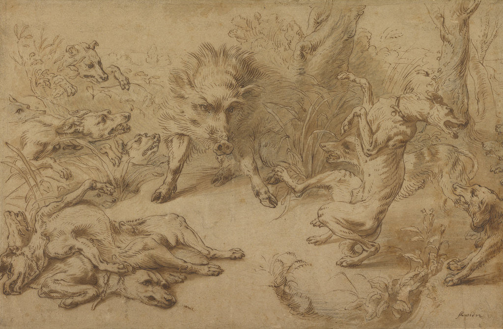 Detail of A Wild Boar at Bay by Frans Snyders