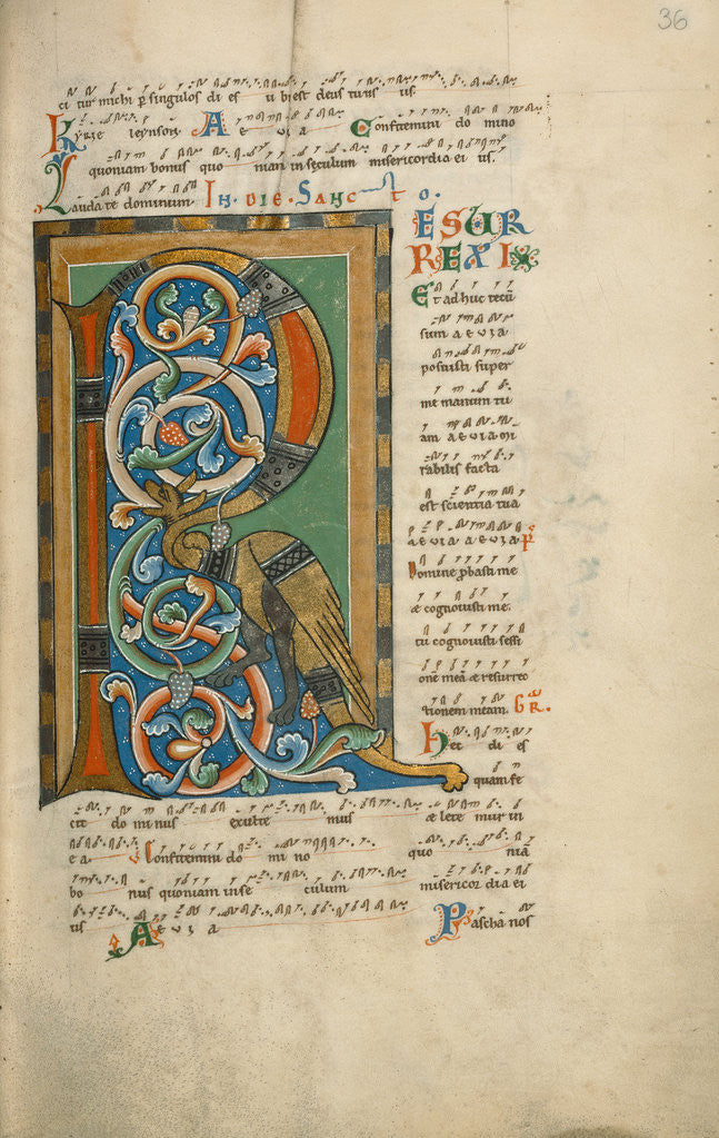 Detail of Decorated Initial R by Anonymous