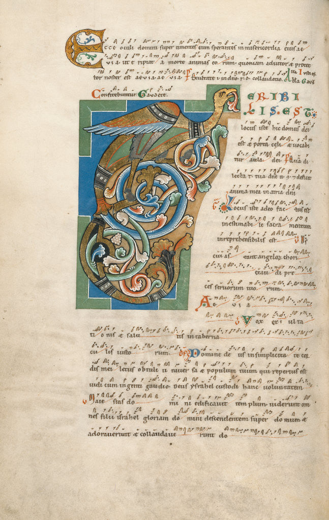 Detail of Decorated Initial T by Anonymous