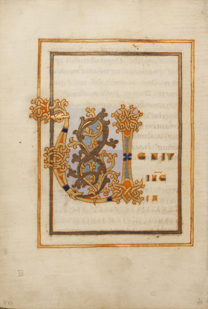 Detail of Decorated Initial V by Anonymous