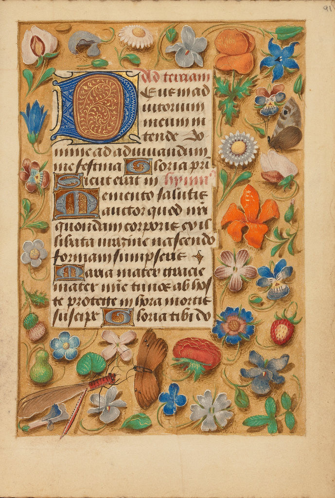 Detail of Decorated Initial D by Anonymous