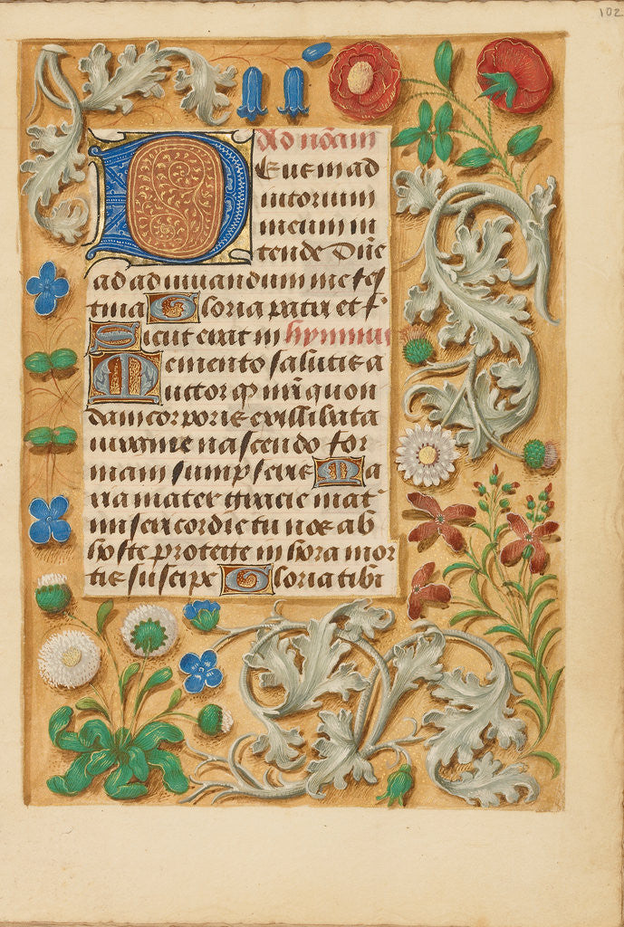 Detail of Decorated Initial D by Anonymous