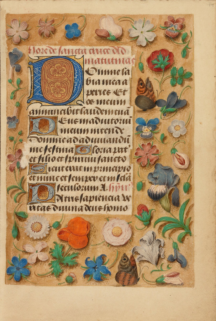 Detail of Decorated Initial D by Anonymous