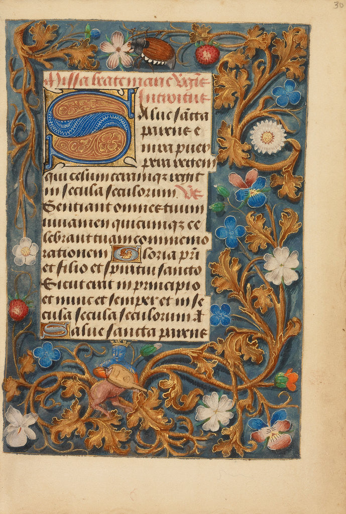 Detail of Decorated Initial S by Anonymous