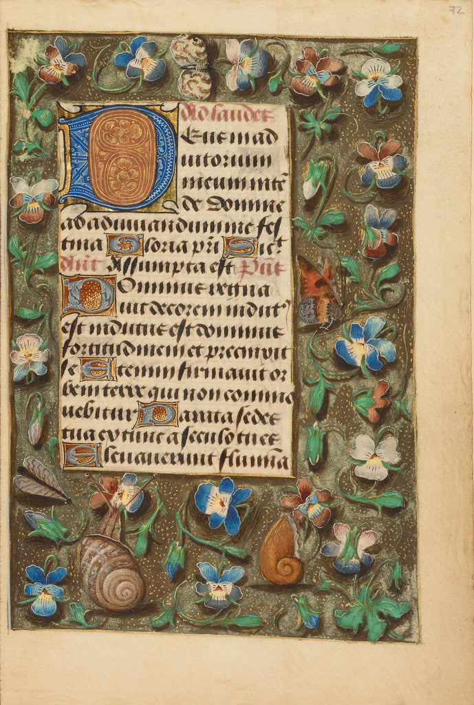 Detail of Decorated Initial D by Anonymous