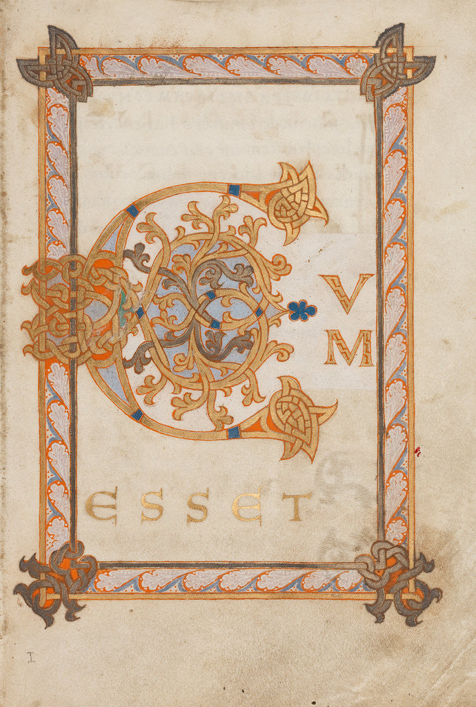 Detail of Decorated Initial C by Anonymous