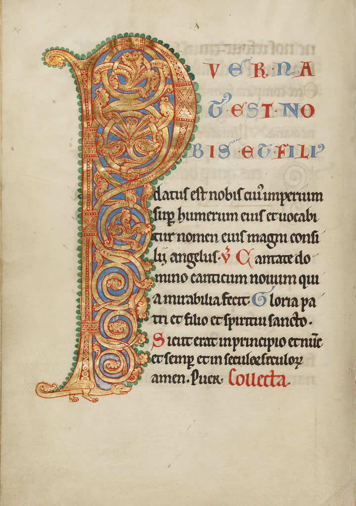 Detail of Inhabited Initial P by Anonymous