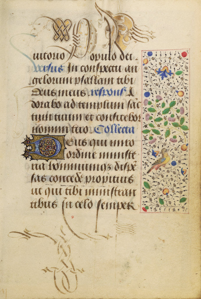Detail of Decorated Text Page by Nicolas Spierinc