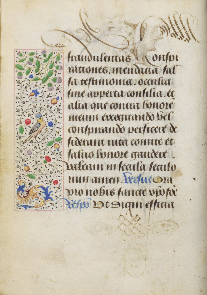 Detail of Decorated Text Page by Nicolas Spierinc