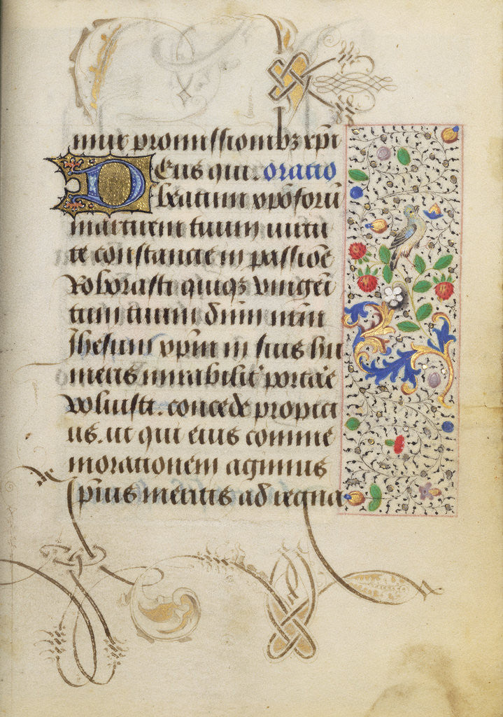 Detail of Decorated Text Page by Nicolas Spierinc