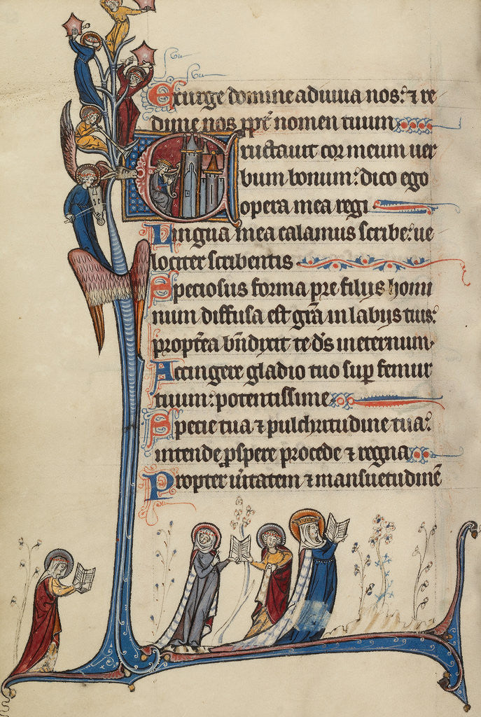 Detail of Initial E: David Playing the Harp by Bute Master