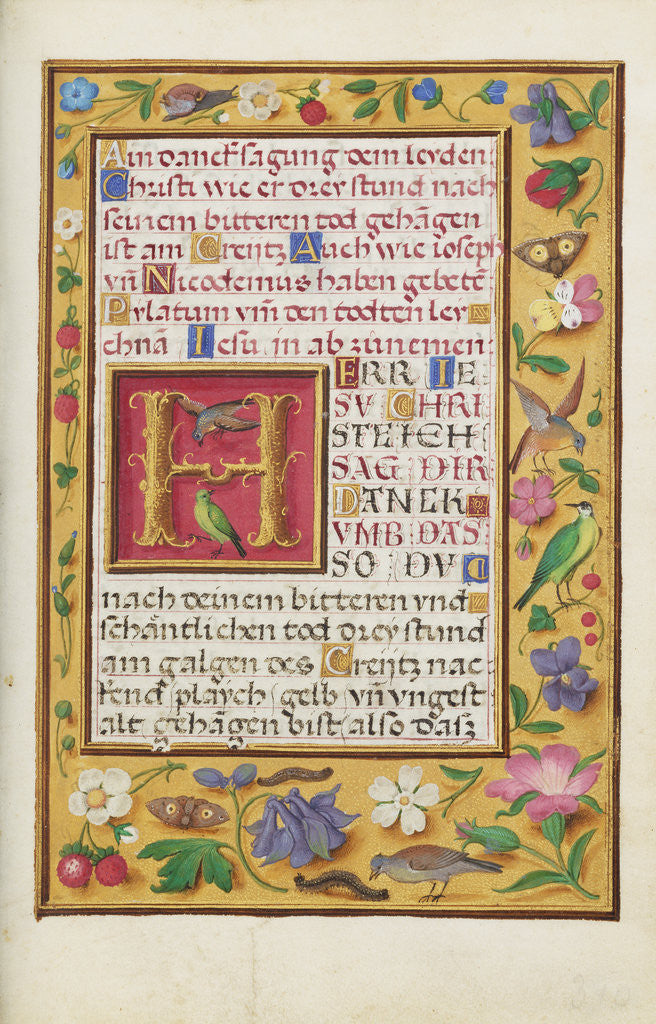 Detail of Decorated Text Page by Anonymous