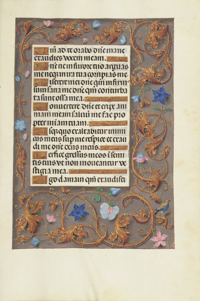 Detail of Decorated Text Page by Anonymous