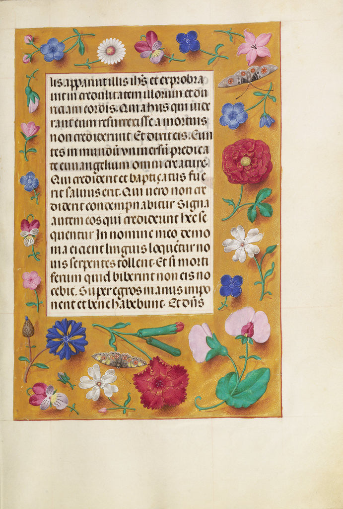 Detail of Decorated Text Page by Anonymous