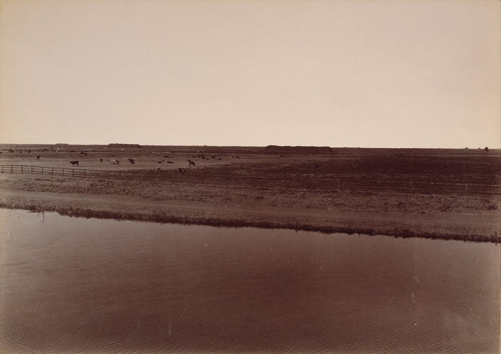 Detail of View on the Calloway Canal, Near Poso Creek, Kern County by Carleton Watkins