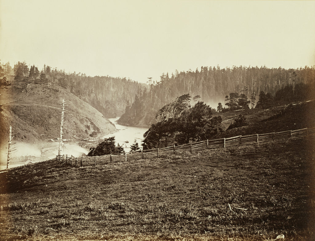 Detail of Albion River, Mendocino Co. Cal. by Carleton Watkins