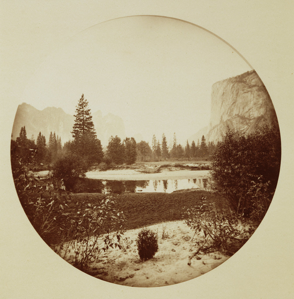 Detail of Down the Valley, Yosemite by Carleton Watkins