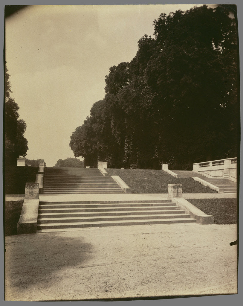 Detail of Parc de Saint-Cloud by Eugène Atget