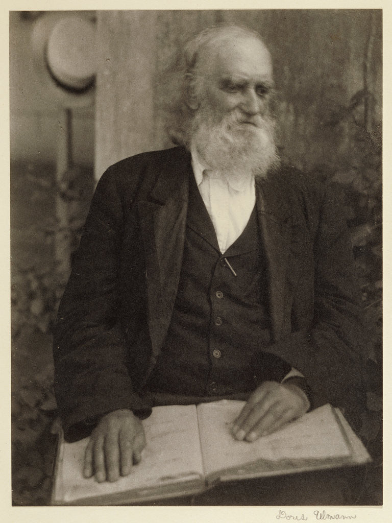 Detail of Brother William of the Shaker Settlement, Mount Lebanon, New York by Doris Ulmann