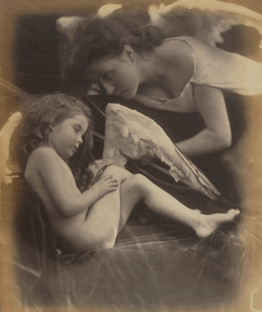 Detail of Venus Chiding Cupid and Removing His Wings by Julia Margaret Cameron