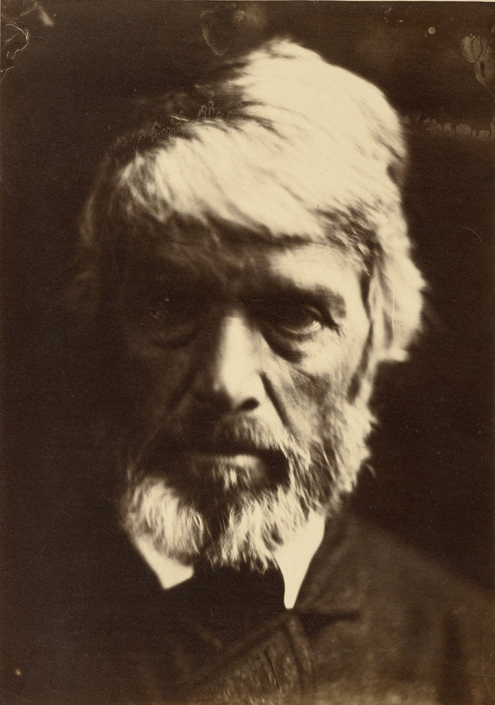 Detail of Thomas Carlyle by Julia Margaret Cameron