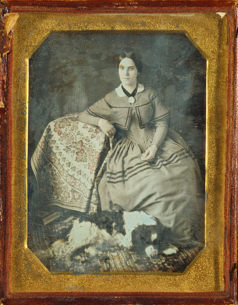 Detail of Portrait of a Seated Young Woman and Dog by Anonymous