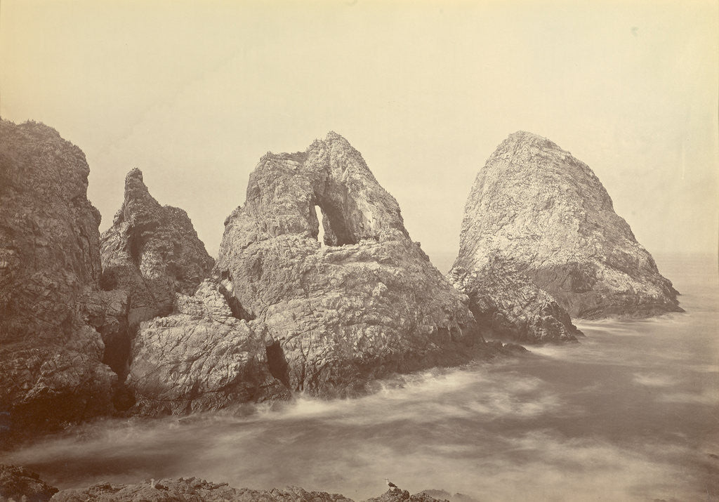 Detail of Sugarloaf Islands at Fisherman's Bay, Farallon Islands by Carleton Watkins