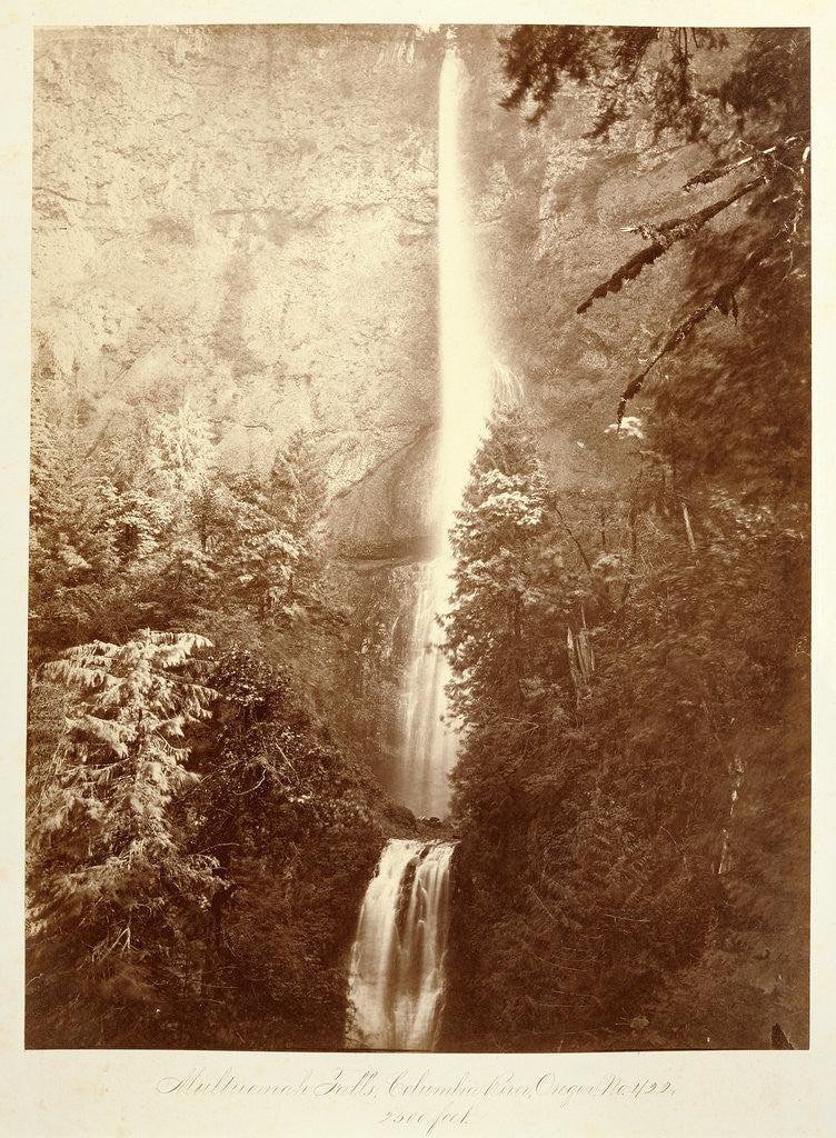 Detail of Multnomah Falls, Columbia River, Oregon, 2500 feet. by Carleton Watkins