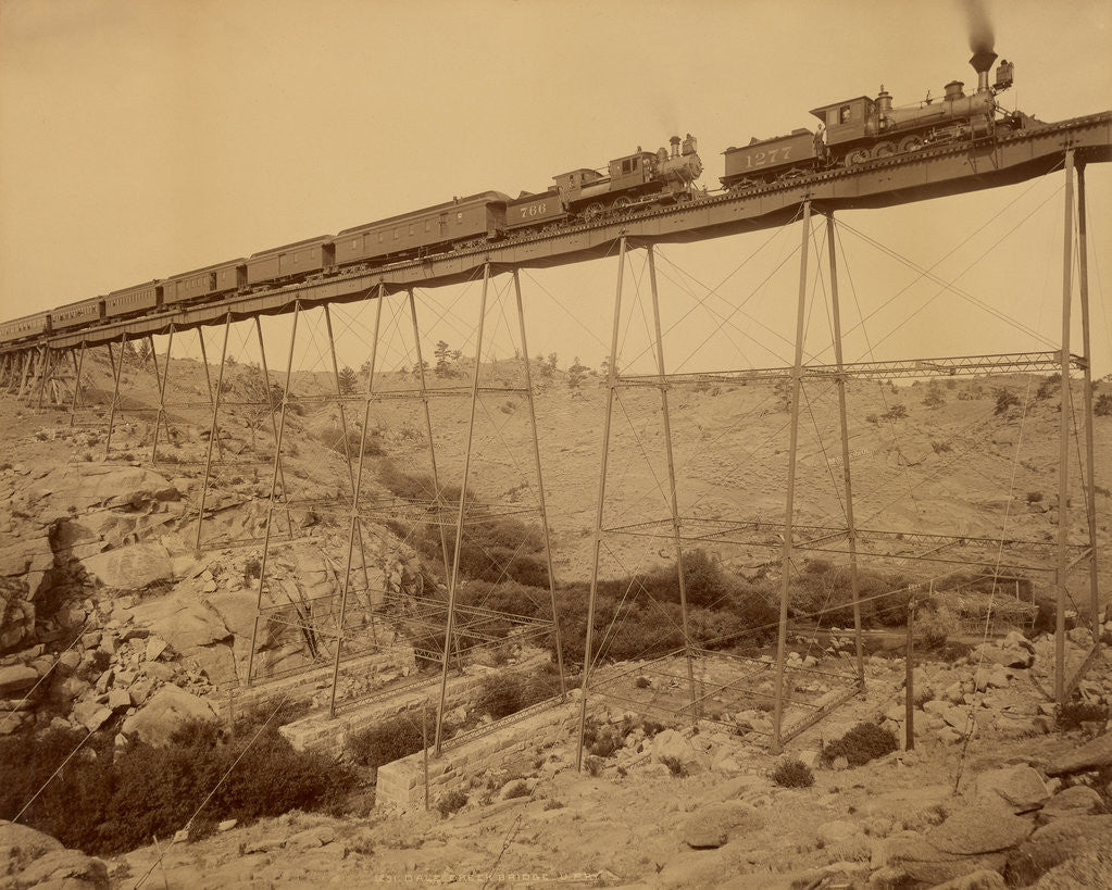 Detail of Dale Creek Bridge, Union Pacific Railway by William Henry Jackson