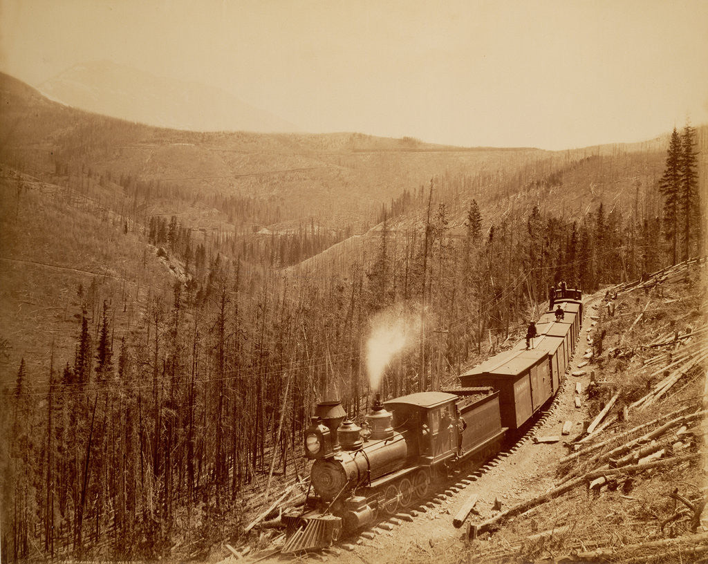 Detail of Marshall Pass, Westside by William Henry Jackson