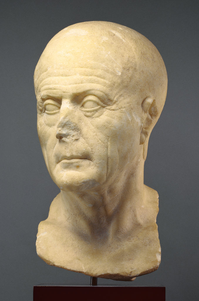 Detail of Portrait Head of an Old Man by Anonymous