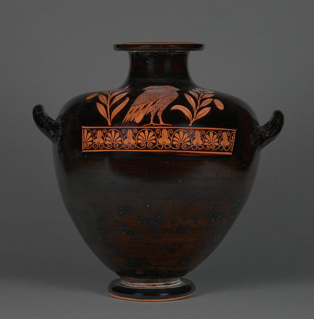 Detail of Red-Figure Kalpis by Group of the Floral Nolans