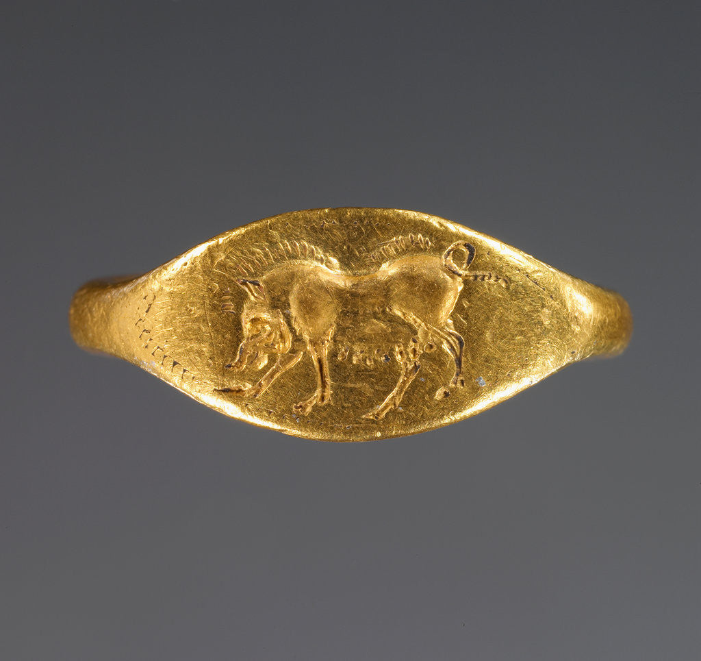 Detail of Ring by Anonymous