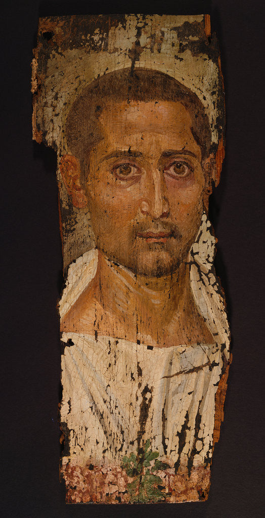 Detail of Mummy Portrait of a Bearded Man by Anonymous