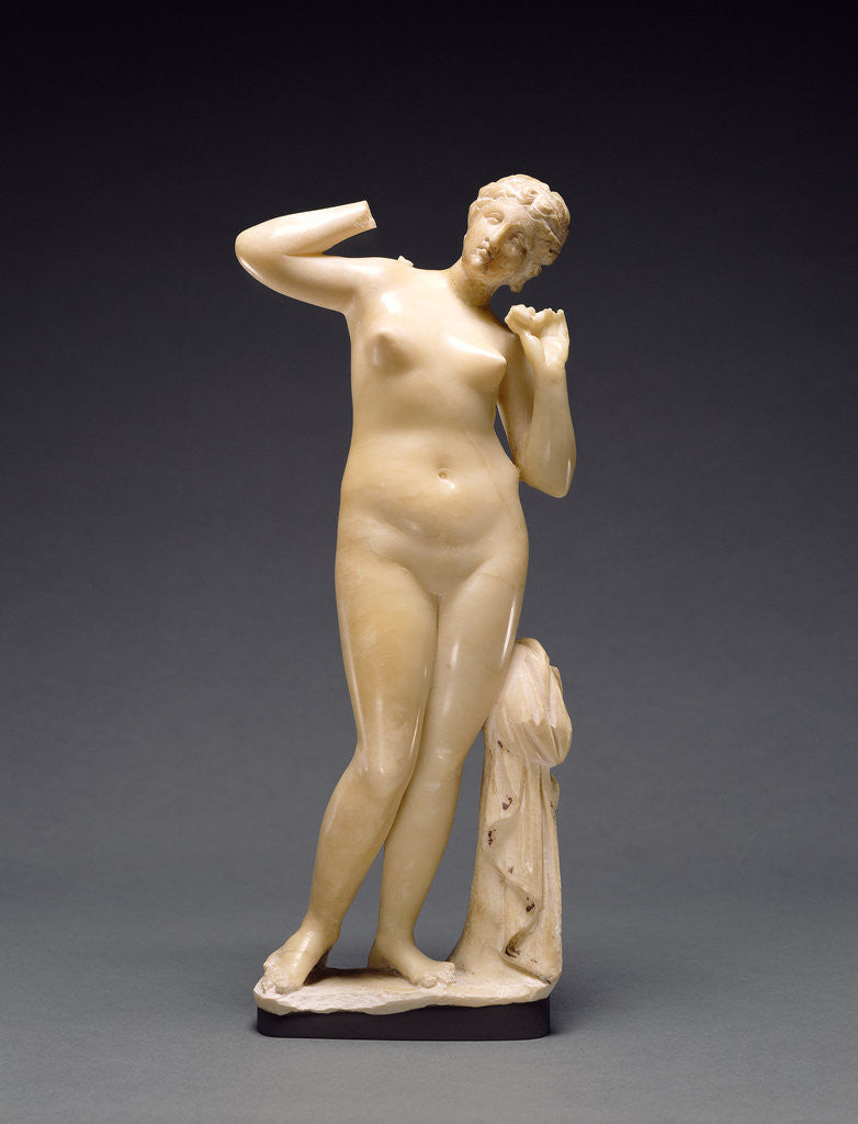 Detail of Statuette of Venus by Anonymous