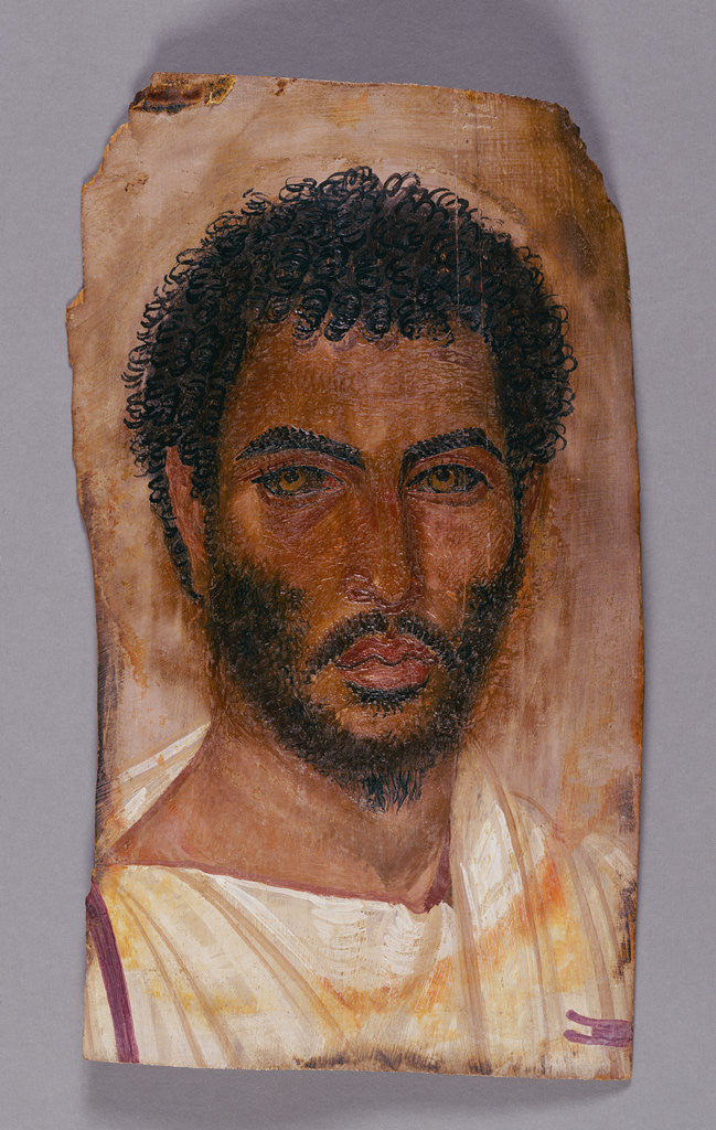 Detail of Mummy Portrait of a Bearded Man by Anonymous