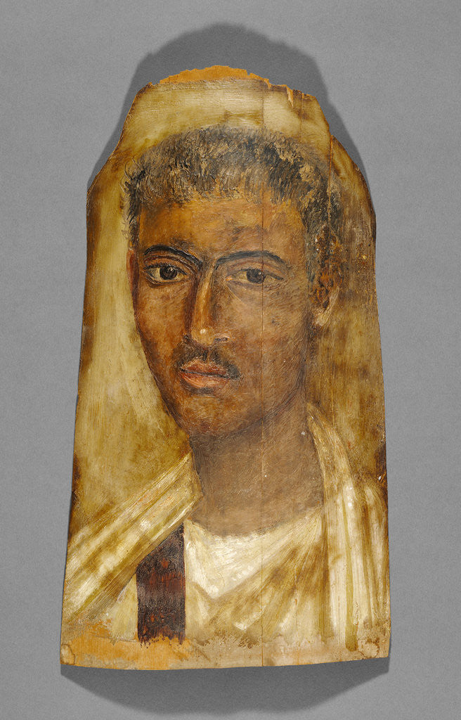 Mummy Portrait of a Man by Anonymous
