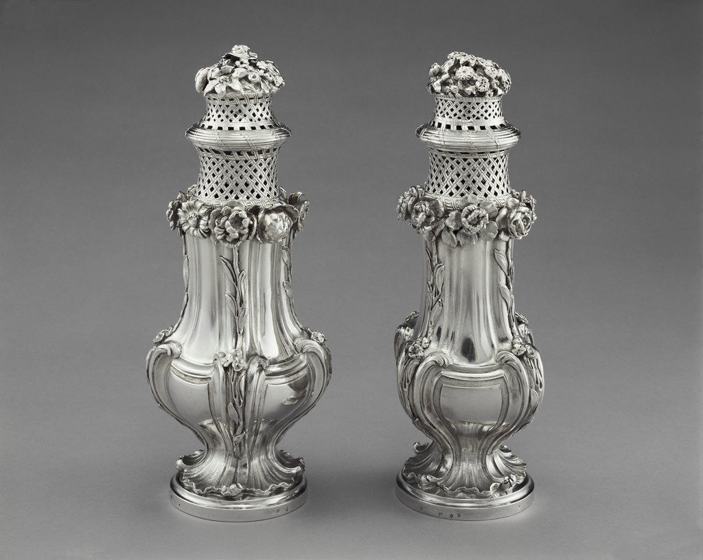 Detail of Pair of Sugar Castors by Simon Gallien