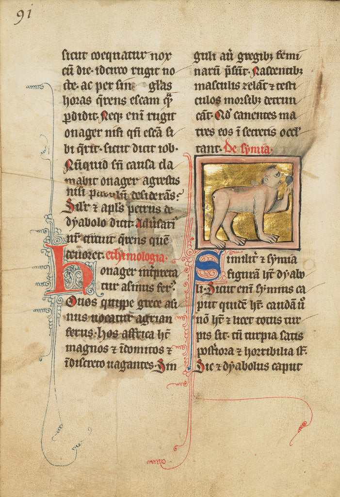 Detail of A Monkey by Anonymous