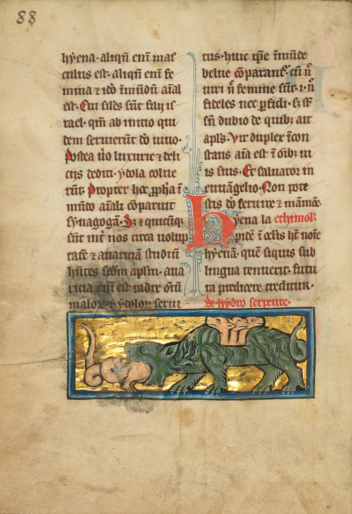 Detail of A Crocodile Devouring a Water Snake by Anonymous