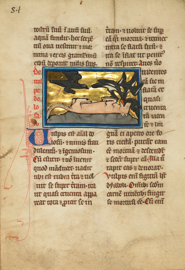 Detail of Birds on a Dead Fox by Anonymous