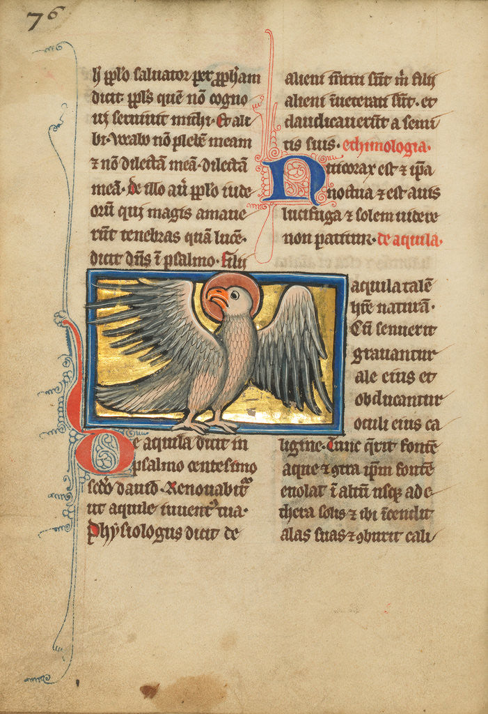Detail of An Eagle by Anonymous