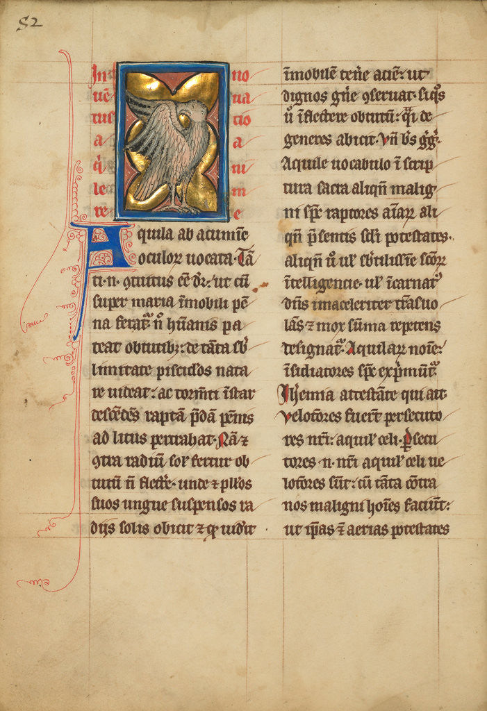 Detail of An Eagle by Anonymous