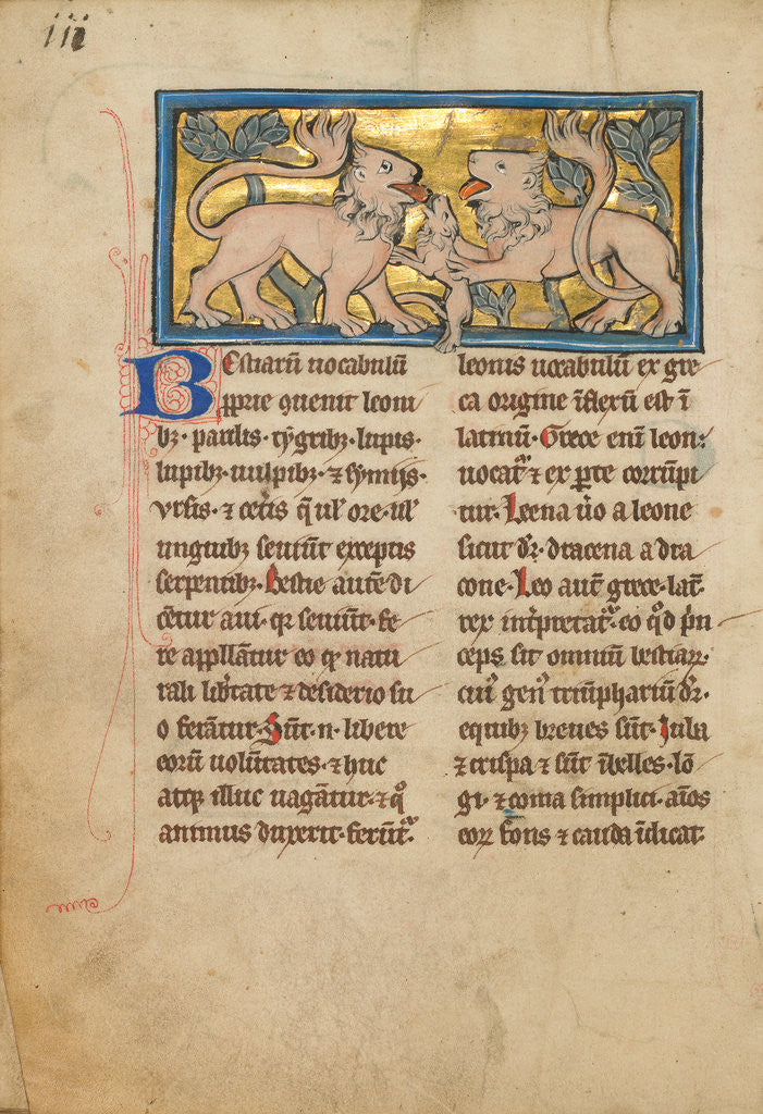 Detail of Two Lions Reviving their Dead Cubs by Anonymous