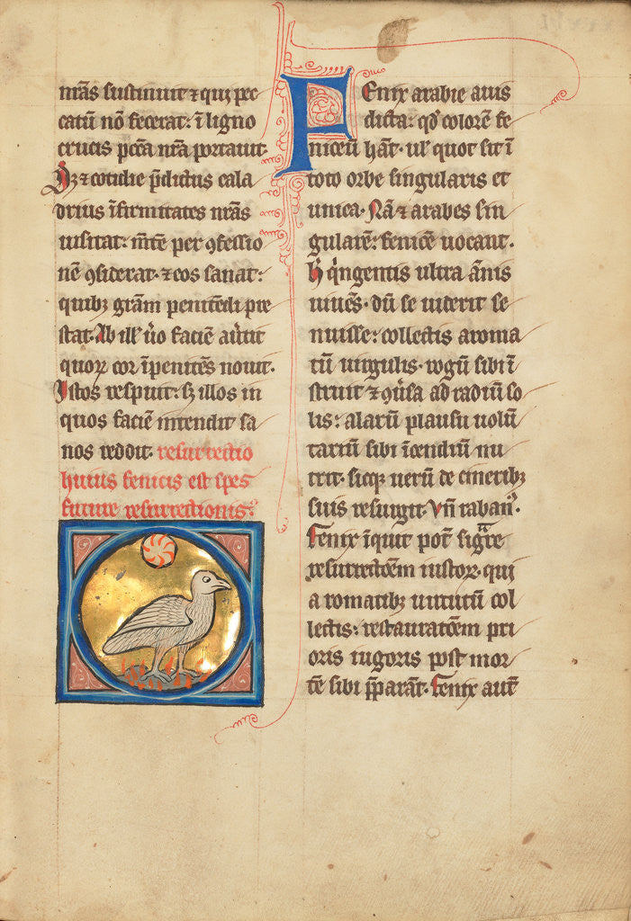 Detail of A Phoenix by Anonymous