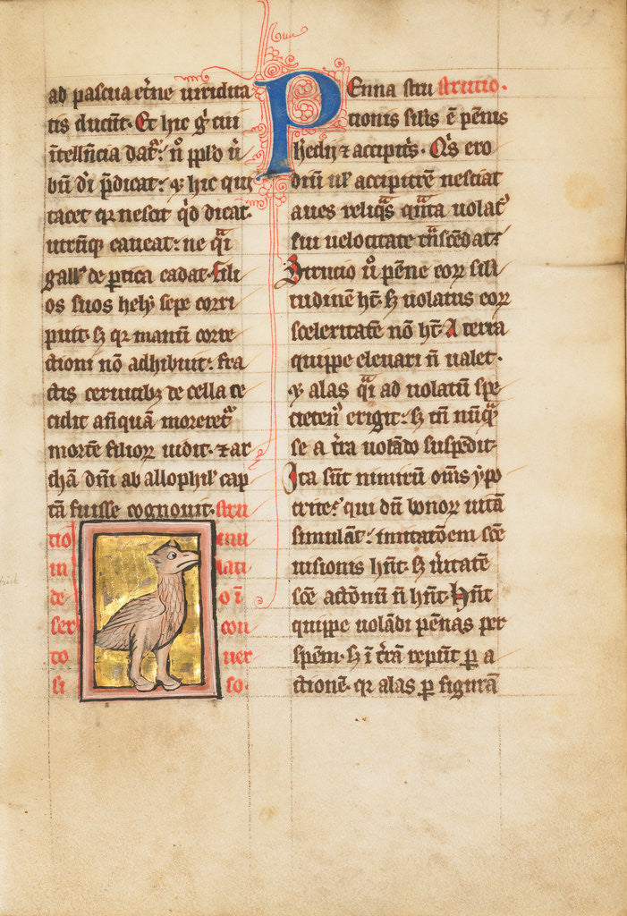 Detail of An Ostrich by Anonymous