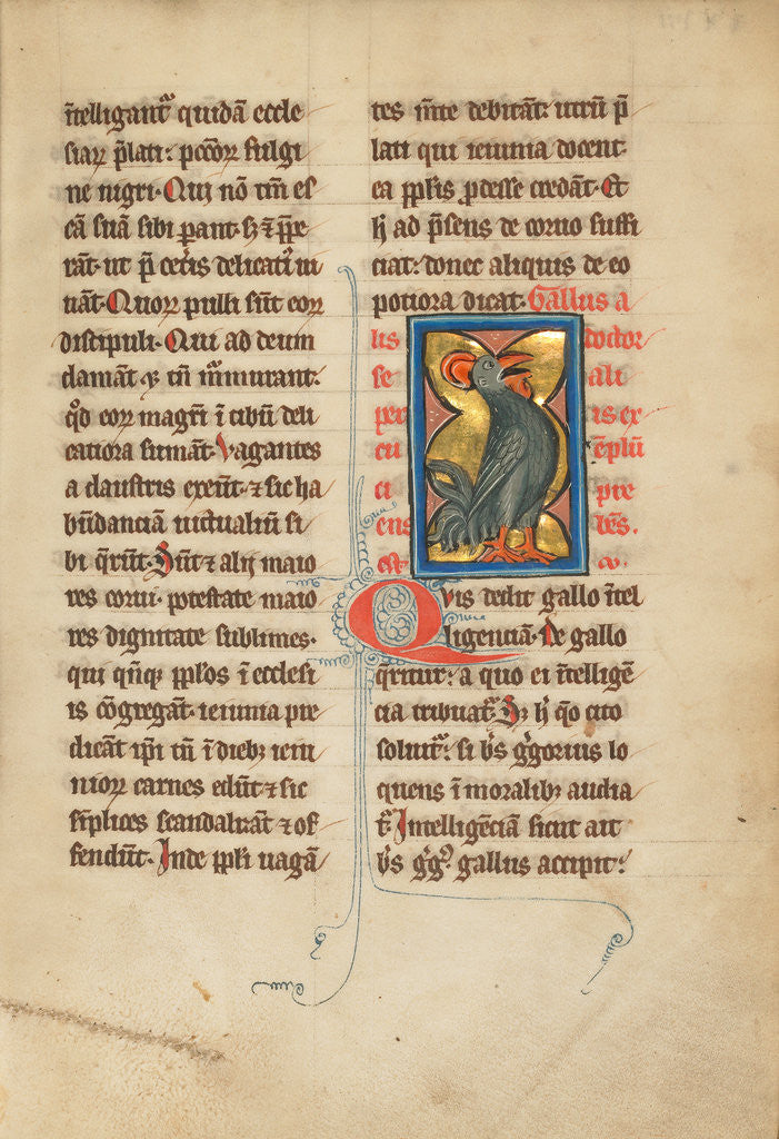 Detail of A Hen by Anonymous