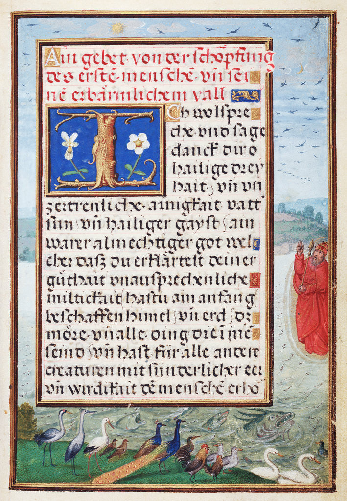 Detail of Border with the Creation of Birds and Fishes by Simon Bening